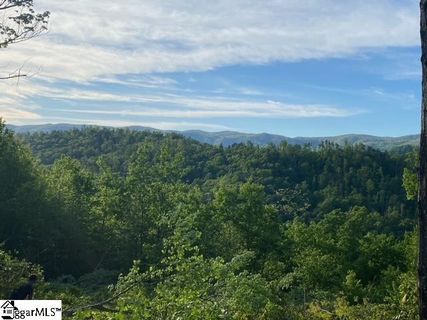 110 Dusky Wing Trail