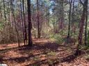 632 Pine Harbor Way sold home in Salem, SC