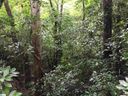 318 Gauley Falls Road sold home in Pickens, SC