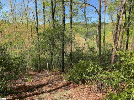 16 Cedar Waxwing Way