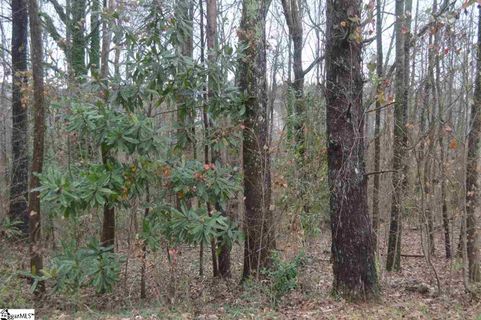 311 Bonita Drive sold home in Botany Park, Easley, SC
