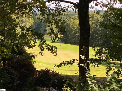 216 Laurel Valley Way