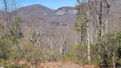107 Roundtop Lane