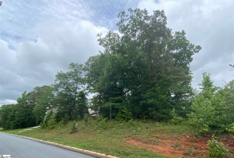 229 Saluda Run Drive