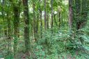 0 Wildflower Lane sold home in Travelers Rest, SC