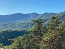 215 Look Off Drive sold home in Cleveland, SC