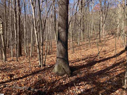 130 Indian Pipe Trail