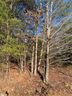 59 Lyle Drive sold home in Taylors, SC