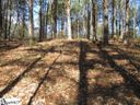 0 Sweet Shrub Court Lot 10 Sweet Shrub Court sold home in Sunset, SC