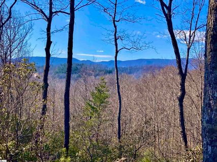 151 Carolina Wren Trail