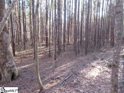 5 Matthews Creek Lane