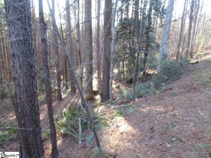 10 Matthews Creek Lane