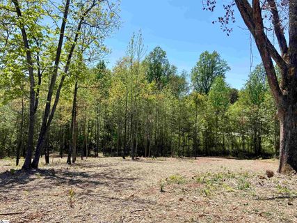 106 Pinelands Place Lot 23 sold home in The Pinelands, Travelers Rest, SC
