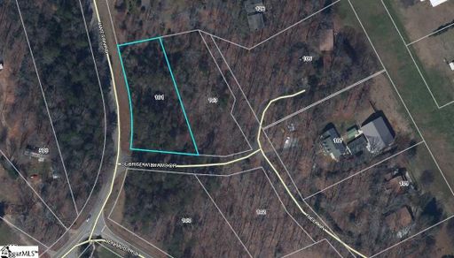 101 & 103 George Williams Drive sold home in Williamsport, Easley, SC