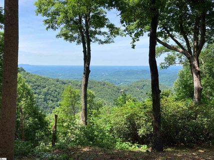 1399 Mountain Summit Road
