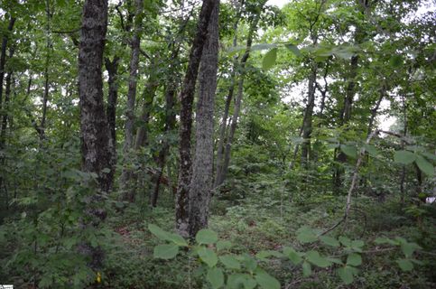 00 Altamont Forest Drive LOT 11
