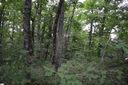 00 Altamont Forest Drive LOT 11 sold home in Greenville, SC