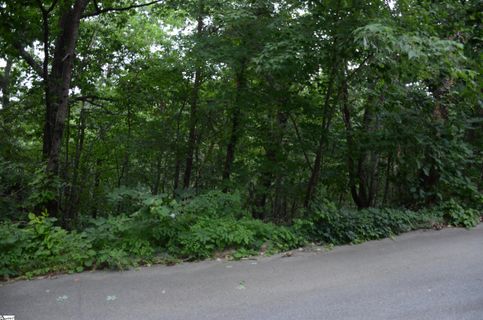 00 Altamont Forest Road LOT 18 sold home in Paris Mt Area, Greenville, SC