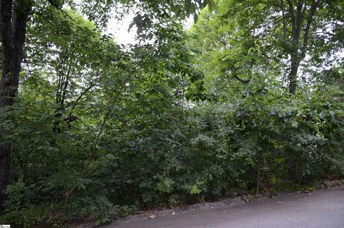 00 Altamont Forest Drive LOT 17