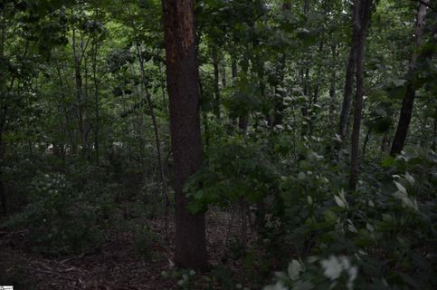 00 Altamont Forest Drive Lot 016