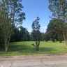 109 Oakdale Avenue sold home in Greer, SC