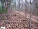 159 Broken Bow Run Lot 21 Broken Bow Run sold home in Pickens, SC