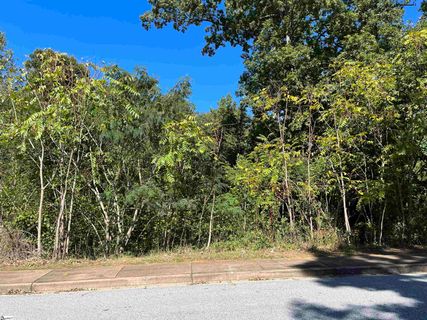00 Beechridge Way Lot 36 sold home in Parkins Grove, Greenville, SC