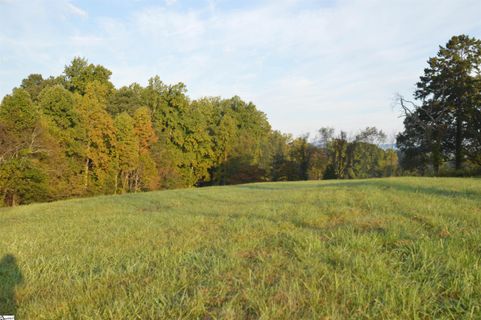 225 Race Track Road sold home in Greenspace Of Fairview, Campobello, SC