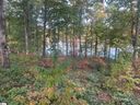 661 Crystal Cove Trail sold home in Salem, SC