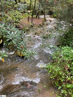 1000 Panther Park Trail