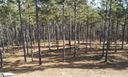 108 Coveside Lane sold home in Six Mile, SC