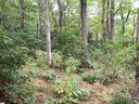 401 Panther Mountain Road sold home in Zirconia, SC