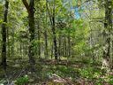 308 Camperdown Court sold home in Easley, SC