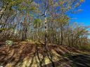 376 Sourwood Lane sold home in Cleveland, SC
