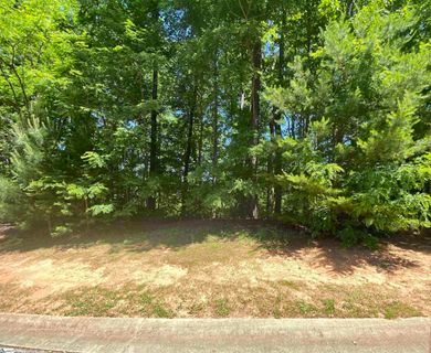 324 Laurel Valley Way