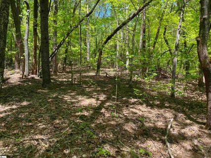 111 Bearpaw Trail sold home in The Cliffs At Keowee, Sunset, SC