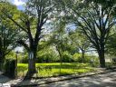 235 Oak Street sold home in Clinton, SC