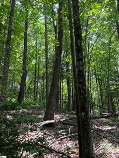 Nightshade Court Lot 204