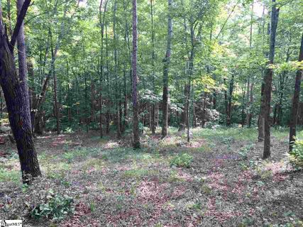 200 Darting Sparrow Way