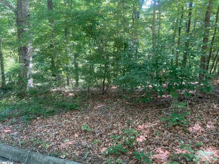 6 Mill Estates Road