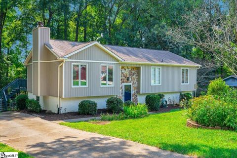 224 Hunters Trail sold home in Palmetto Downs, Greenville, SC