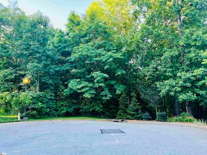 20 Savage Court sold home in The Woodlands At Cherokee Valley, Travelers Rest, SC