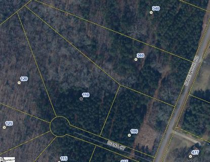 Homes in Estates At Babe Wood, Greer