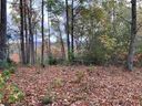 White Fox Trail Lot #15 sold home in Marietta, SC
