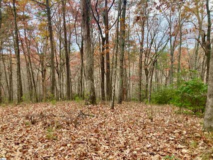325 Highridge Parkway