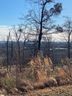 11 Rovello Court Lot 456 sold home in Greenville, SC
