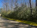108 Hemlock Trail Lot 180 sold home in Cleveland, SC
