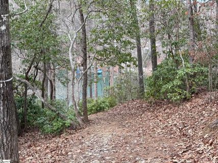407 Soaring Eagle Way