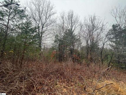119 Roundtop Lane