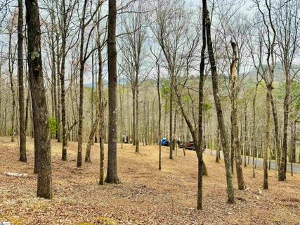 101 Crystal Brook Trail